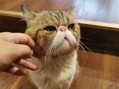 -参差咖啡(水果湖公园店)