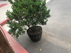 -妈妈的味道(工人体育场东路店)