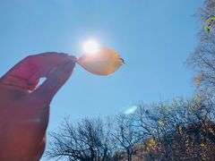 -塞罕坝国家级自然保护区