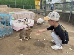 -前小桔亲子创意农场·草莓采摘·露营烧烤