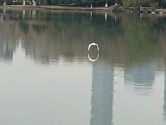 -白塘生态植物园