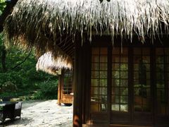 -中国茶叶博物馆(双峰馆区)