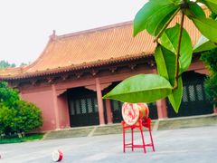 -明故宫遗址公园