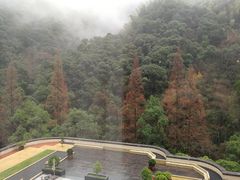 -天明山温泉大酒店