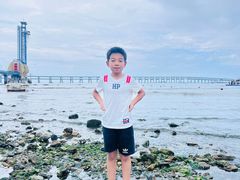 -星海湾跨海大桥