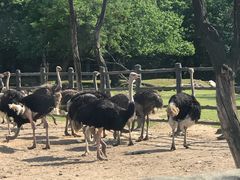 -西安秦岭野生动物园