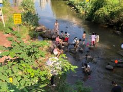 -重庆彩云湖湿地公园