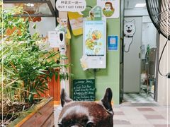 -Carrot&Cleaver蔬蔬食验室 By MissGreen(上海商城店)