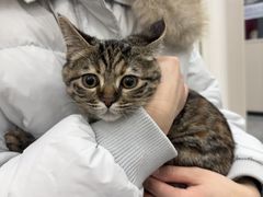 -芭比堂动物医院·CT·微创中心(新顺分院)