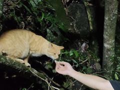 -萍乡武功山风景名胜区