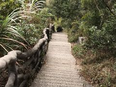 -梧桐山风景名胜区