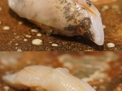 -鮨龍