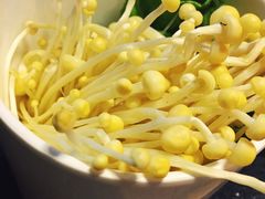 蜀九香火锅酒楼(彩虹店)-蜀九香火锅(彩虹店)
