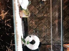 -红辣椒·川菜·火锅(大洋中心店)