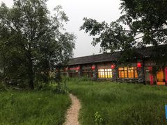 -刘姐啤酒鱼民族演艺餐厅(西街总店)