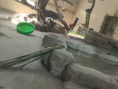 -宁波野生动物园