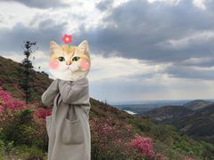 -木兰云雾山