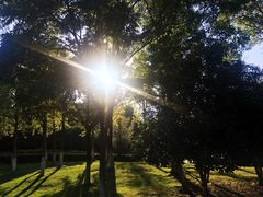 -白塘生态植物园
