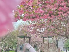 -唐城墙遗址公园