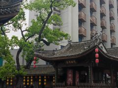 -小口味