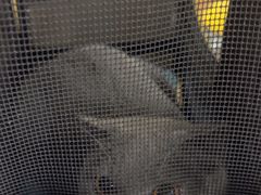 -联合动物医院(光谷诊疗中心)