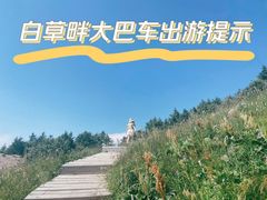 -白草畔自然风景区