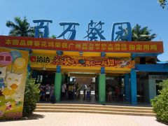 -百万葵园