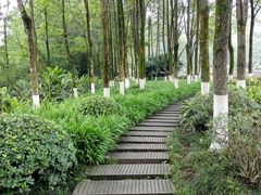 -重庆彩云湖湿地公园
