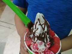 -Salud撒露欧洲冻酸奶(北苑上品店)