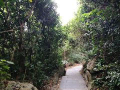 -鹅銮鼻公园