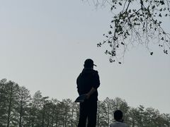 -东湖落雁景区