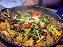 -老板恋上鱼(恒隆广场店)