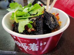 长沙臭豆腐-黑色经典臭豆腐·湖南特产(坡子街店)