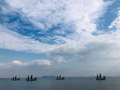 -贡湖湾湿地公园