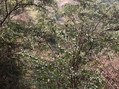 -宁波五龙潭景区