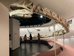 -自贡恐龙博物馆