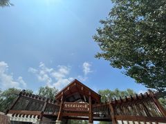 -野鸭湖国家湿地公园