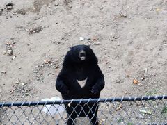 -大连森林动物园