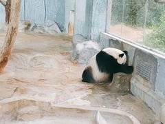 -海南热带野生动植物园