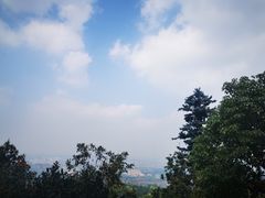 -杭州半山国家森林公园