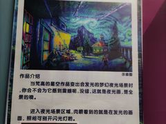 -梵高星空艺术馆(北京旗舰店)