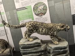 -昆明动物博物馆
