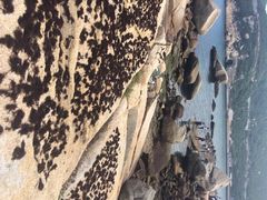 iphone_upload_pic-东澳岛