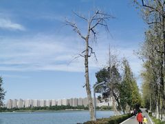 -洋湖国家湿地公园
