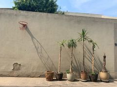 -中国艺术研究院油画院