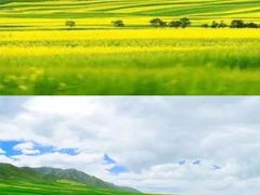 -扁都口生态休闲旅游区