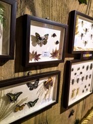 -Zoolung Zoolung动物主题公园(海信广场店)