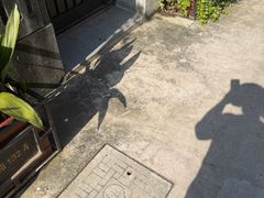 -上海鲁迅故居