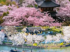 -无锡蠡湖国家湿地公园-蠡园