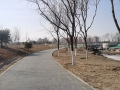-槐房钓鱼公园
